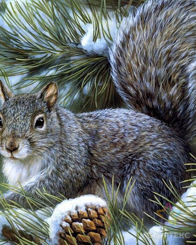 Зимний лес с лесными животными