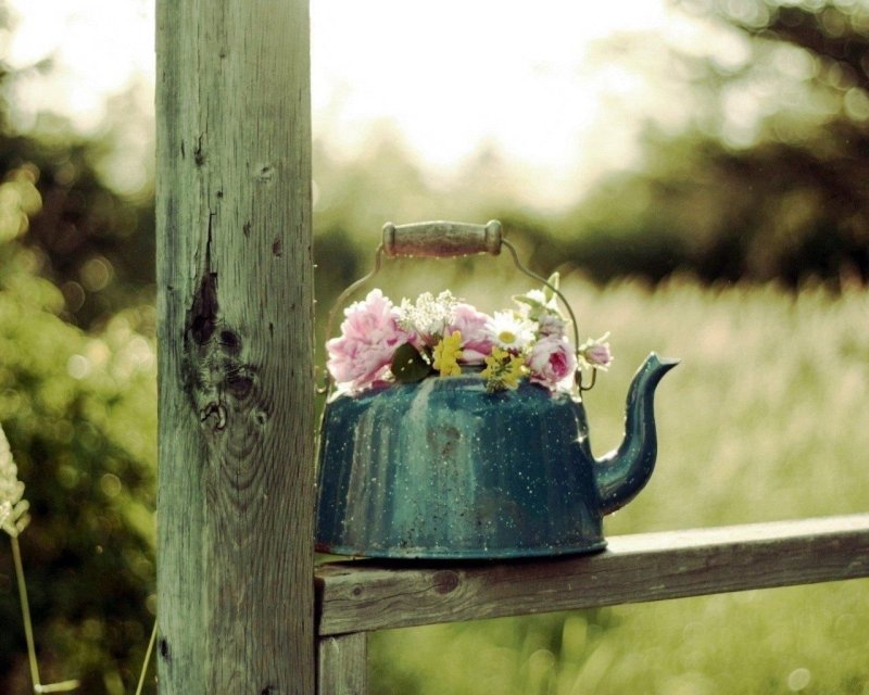 Изображения для вдохновения