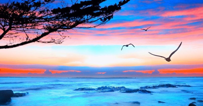 Природа Вдохновение