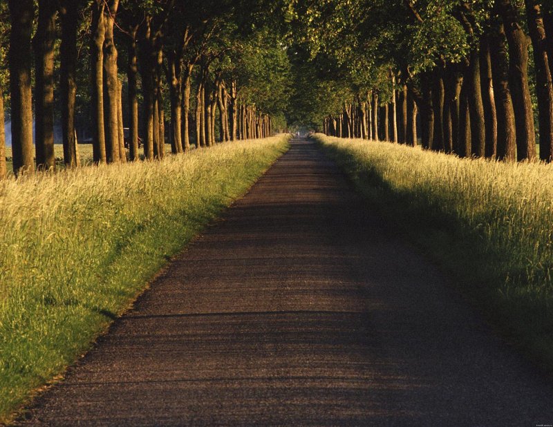 Пейзаж с дорогой