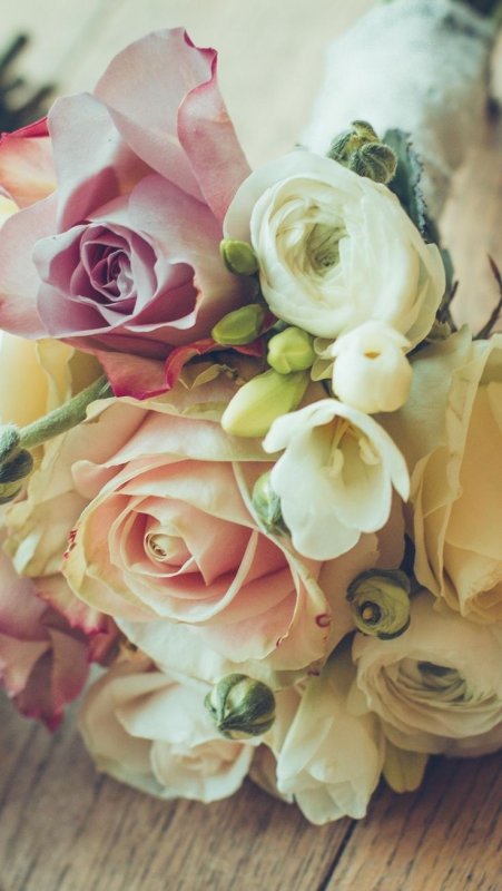 Шикарные цветы