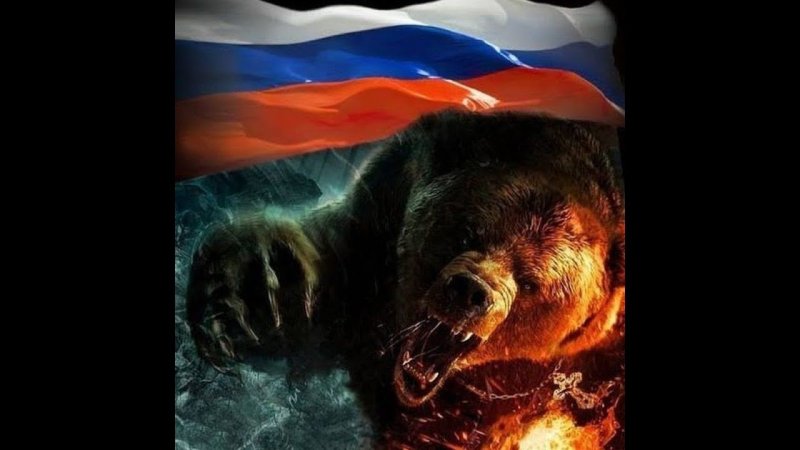 Медведь с флагом