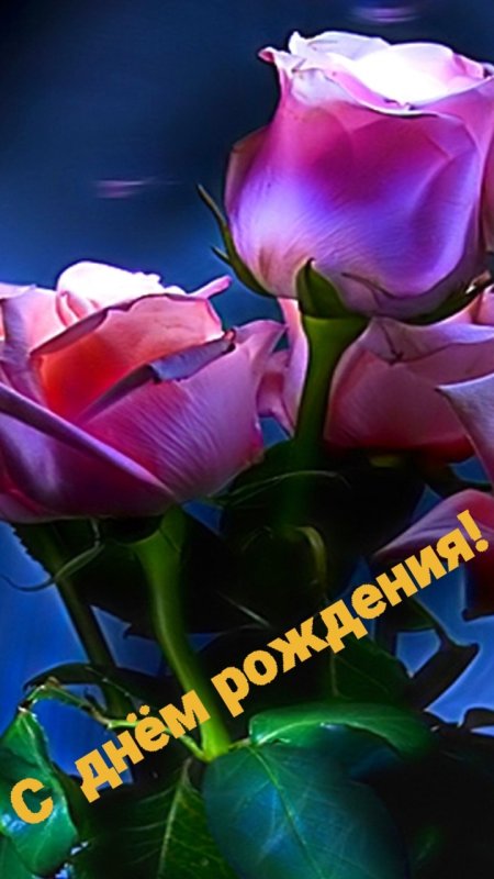 Очень красивые цветы