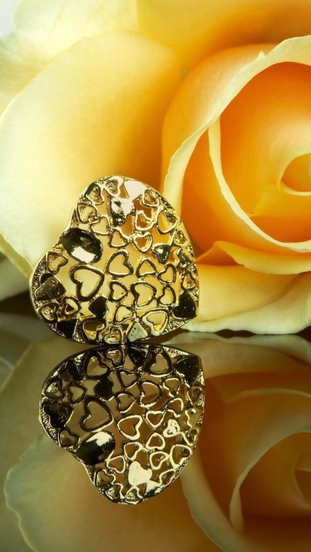 Золотистые цветы живые