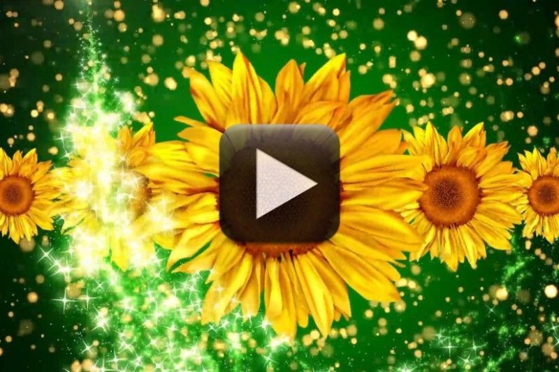 Заставки для видеомонтажа анимированные