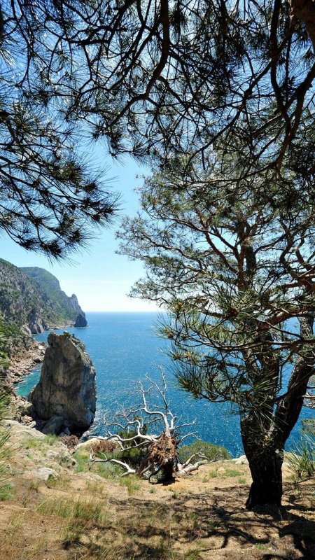 Крымская природа