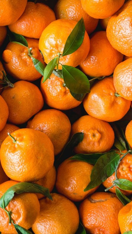 Фрукт цитрус кумкват