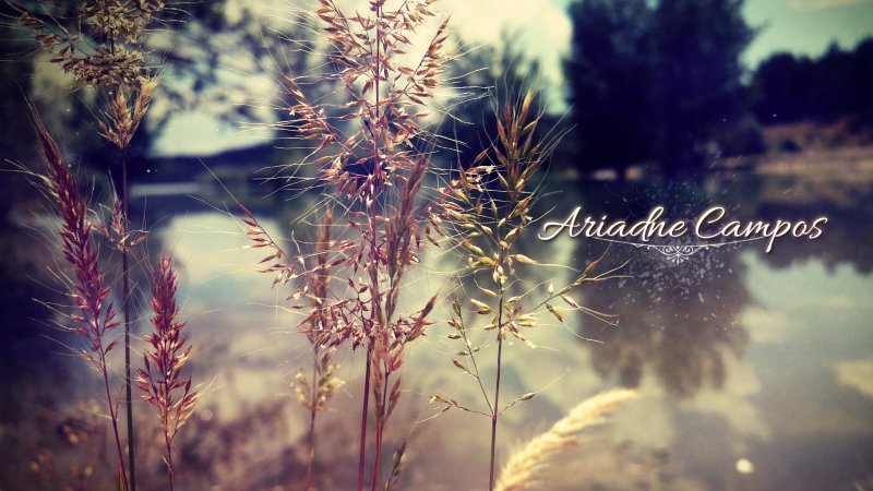 Вдохновляющие заставки на рабочий стол