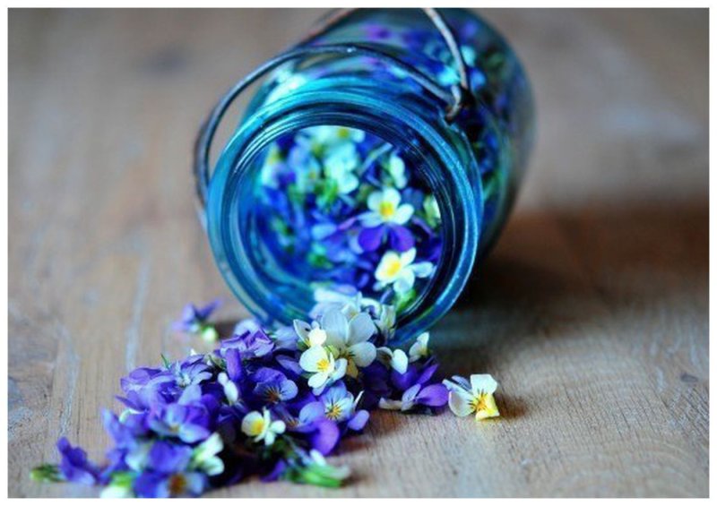 Цветочки в баночке
