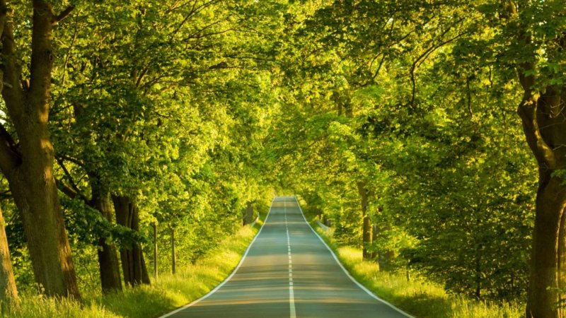 Природа дорога