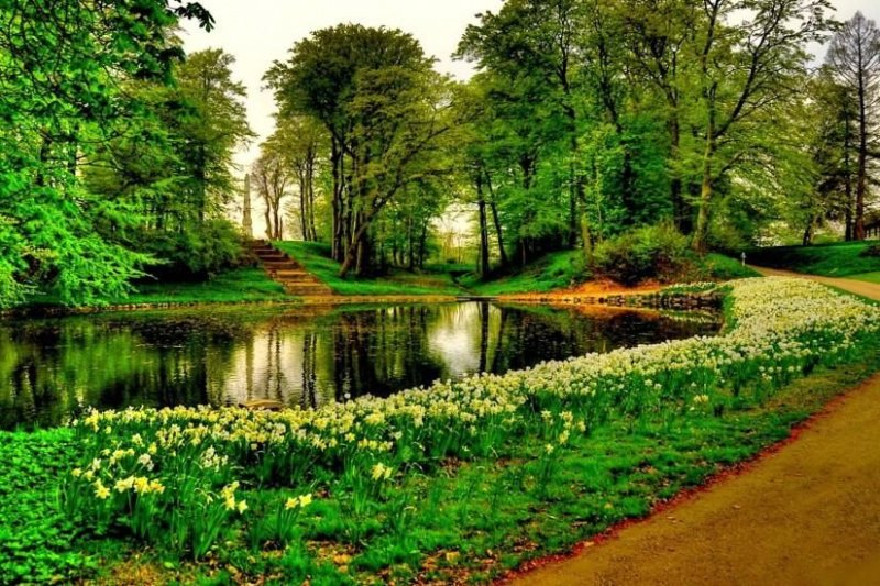 Пейзажи природы лето