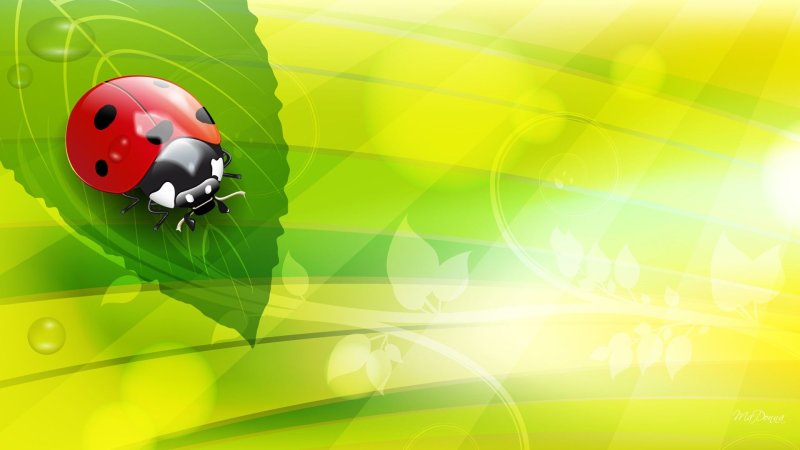 Божьи коровки