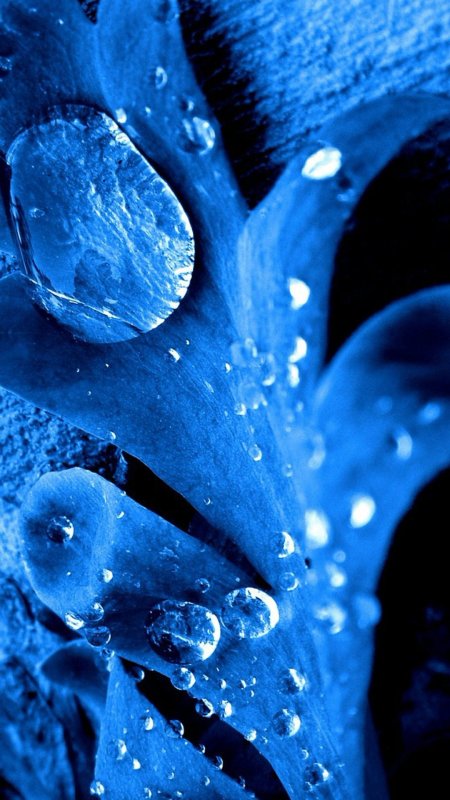 Синие картинки