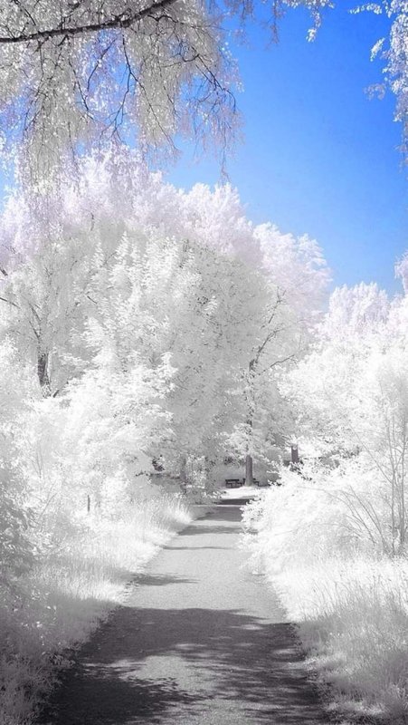 Красивый снегопад