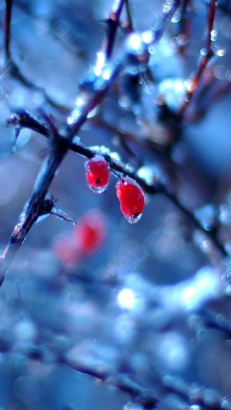 Красивые зимние заставки