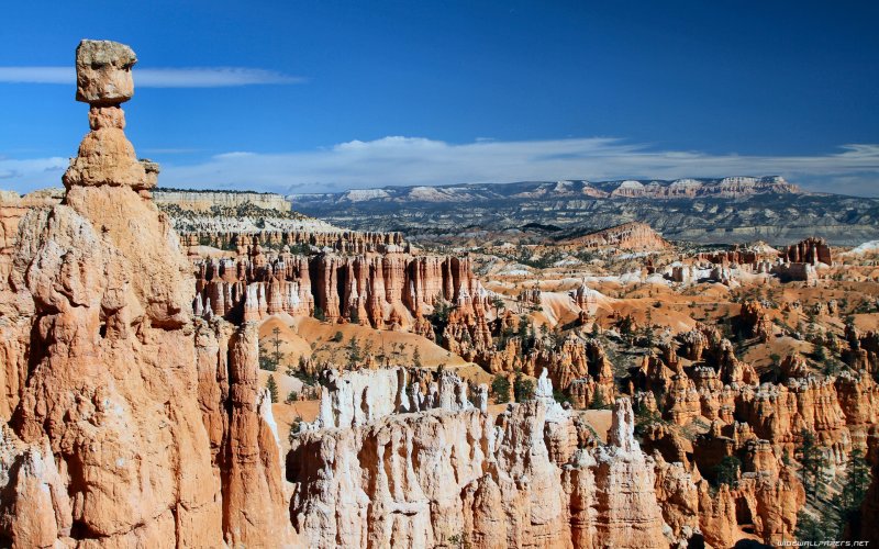 Каньон Дашбаши Грузия