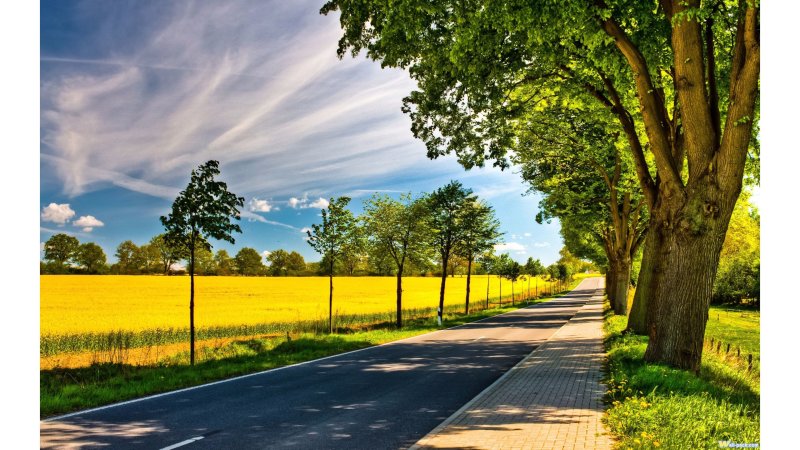 Пейзаж лето