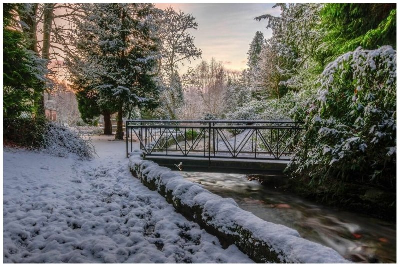 Зимний парк