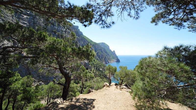 Кемпинг можжевеловая роща в Кабардинке