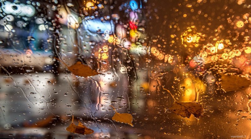 Дождь осенью