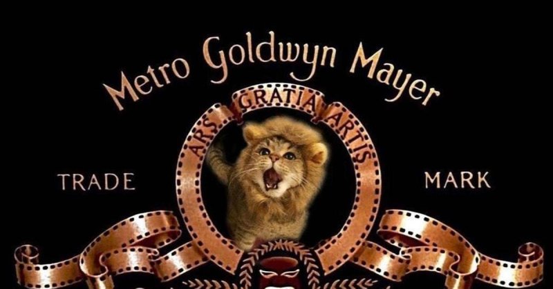 Метро Голден Майер Лев