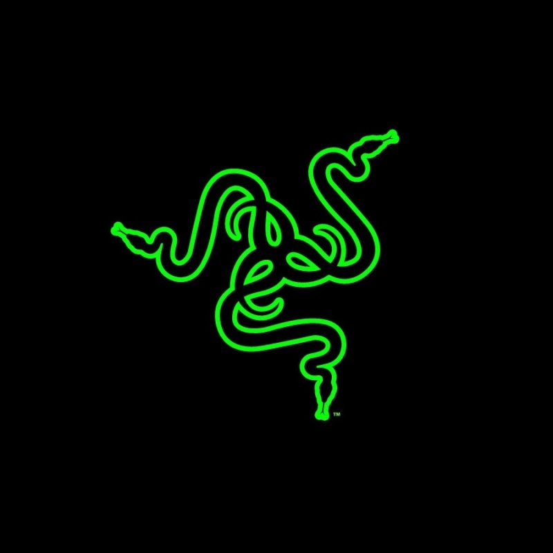 Рейзер логотип 4к