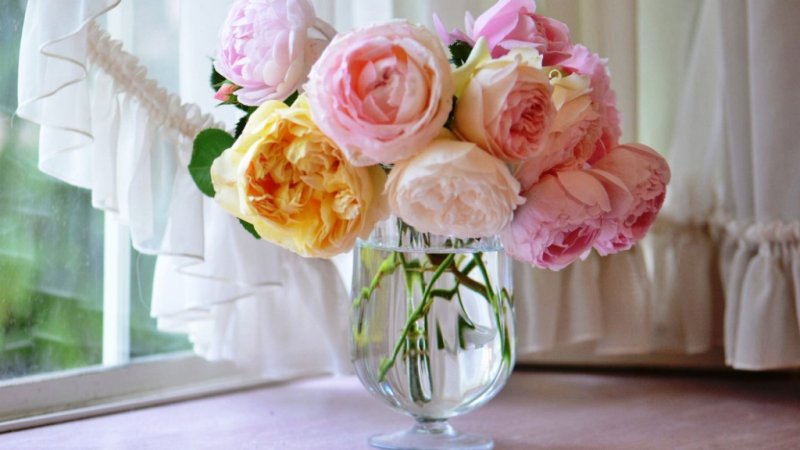 Пудровые пионы