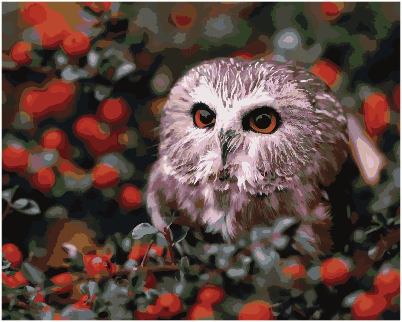 Красивые животные