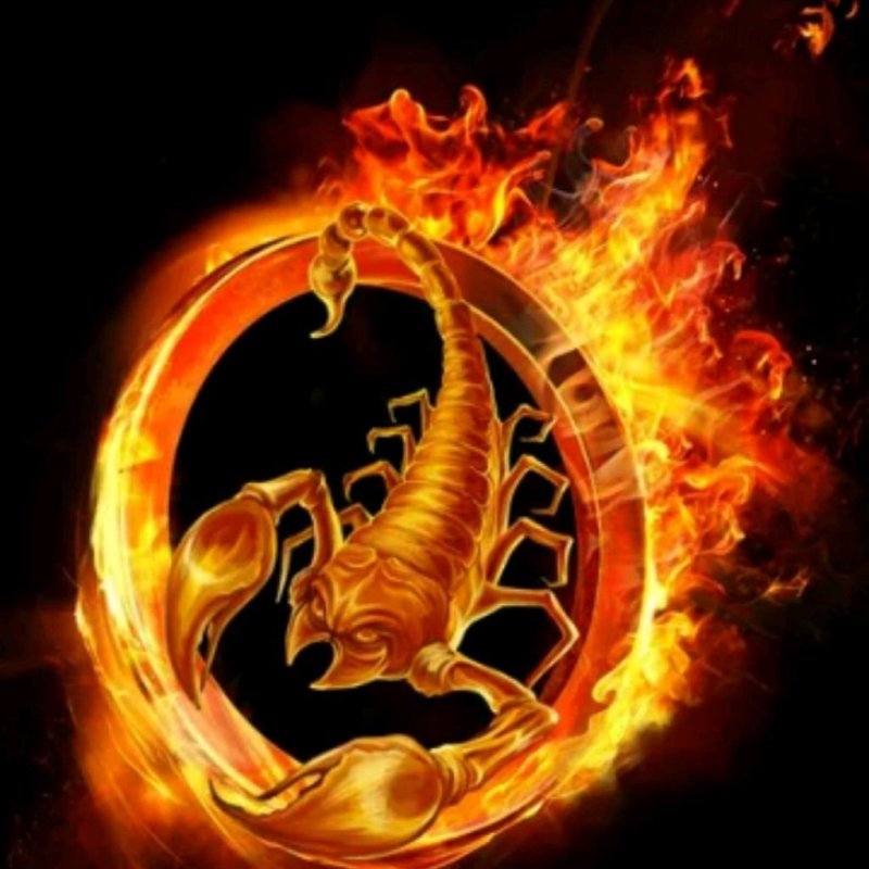 Скорпион на аву