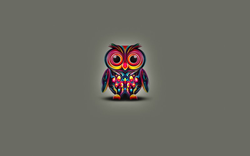 Картинки Минимализм на рабочий стол Совы