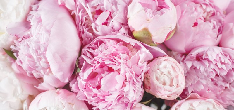 Мраморный пион