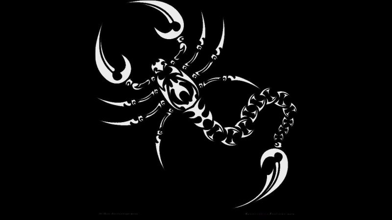 Скорпион на заставку