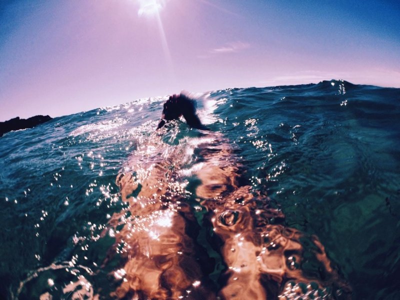 Жизнь в океане