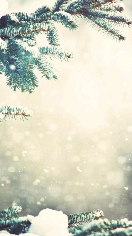 Зимний фон для фотошопа