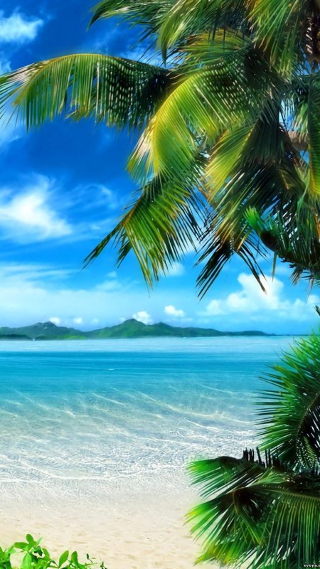 Тропическое море