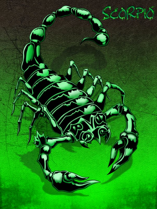 Скорпион картинки