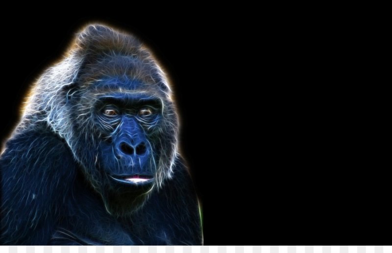 Заставка на телефон горилла