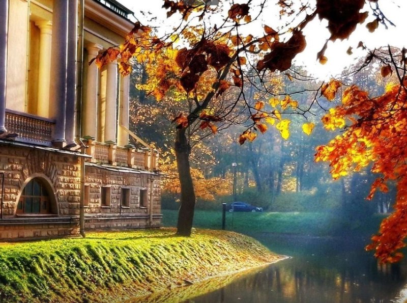 Золотая осень в Петергофе