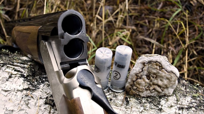 Охотничий дробовик