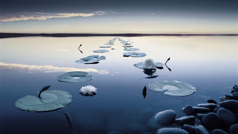 Вода спокойствие