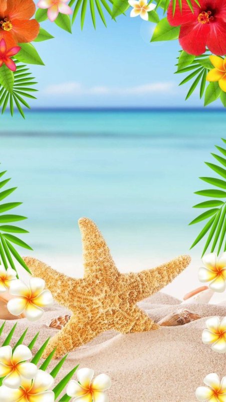 Лето вертикальные