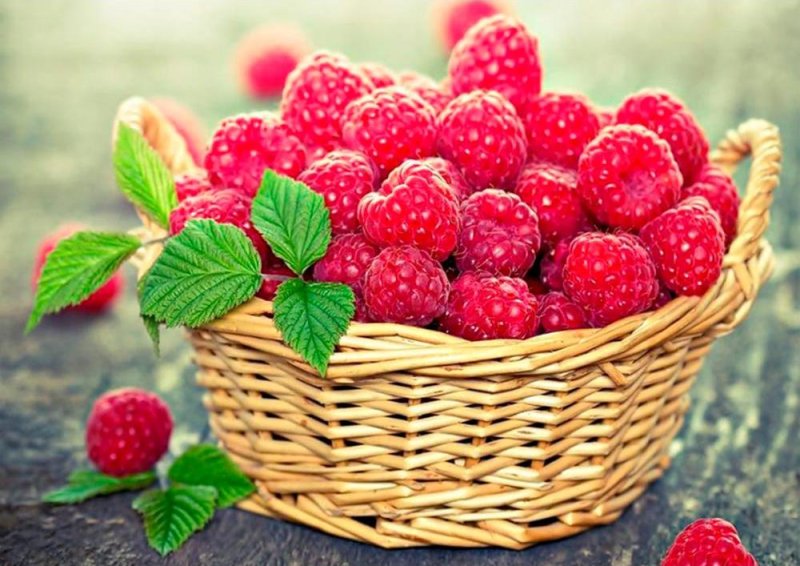 Красивые ягоды