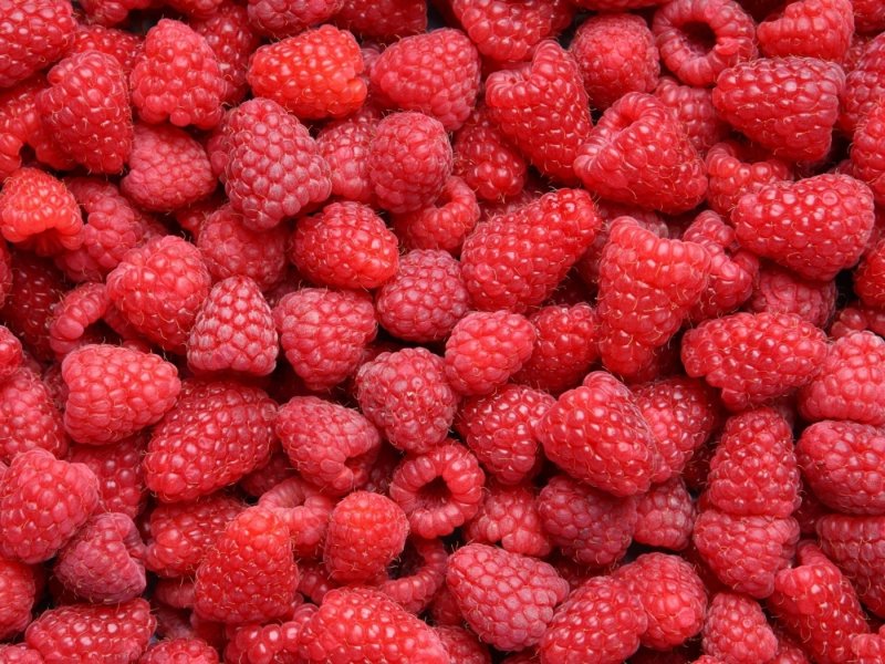 Ягода малина