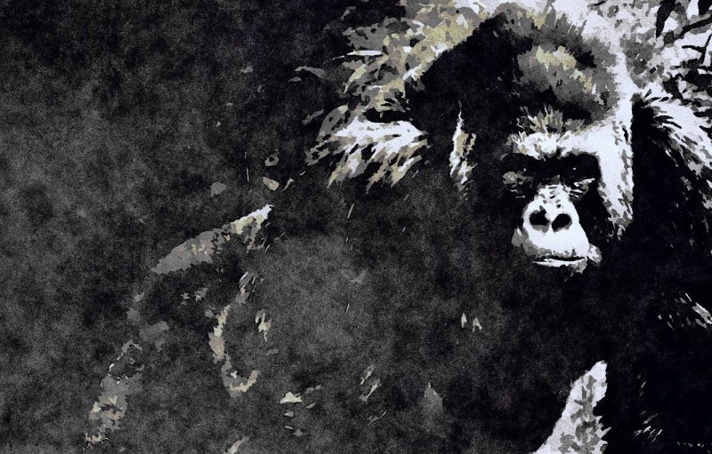 Горилла арт