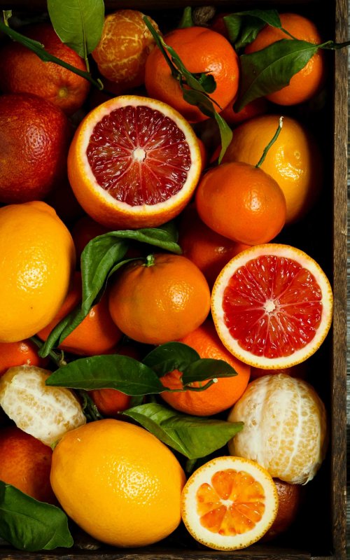 Лимон апельсин мандарин