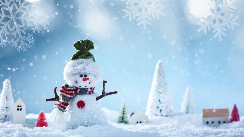 Винтер Сноумен Винтер