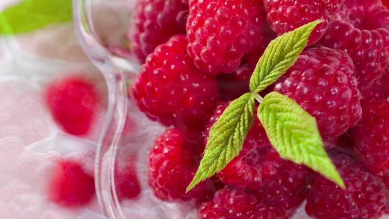 Летние ягоды