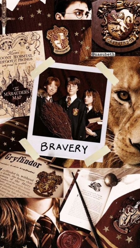 Эстетика Гарри Поттера Гриффиндор