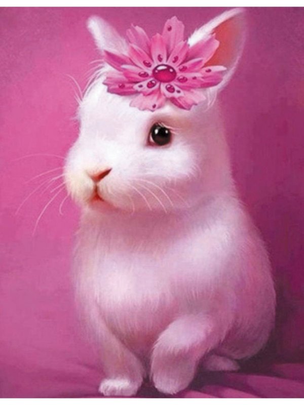 Красивый Зайка