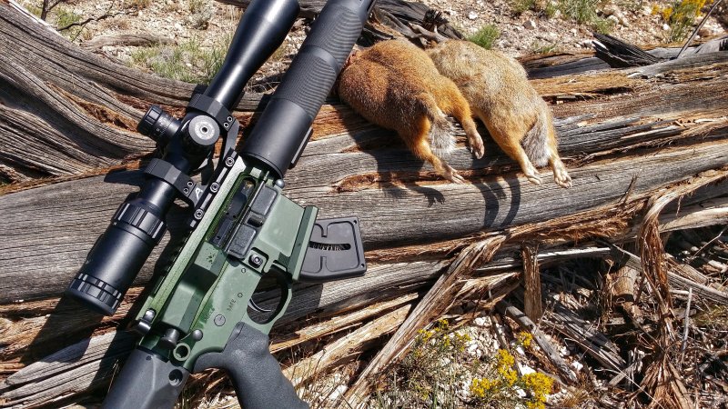 Охотничье ружье